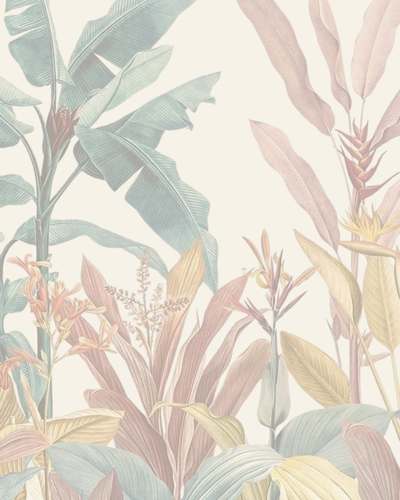 لون جل فرنسي 